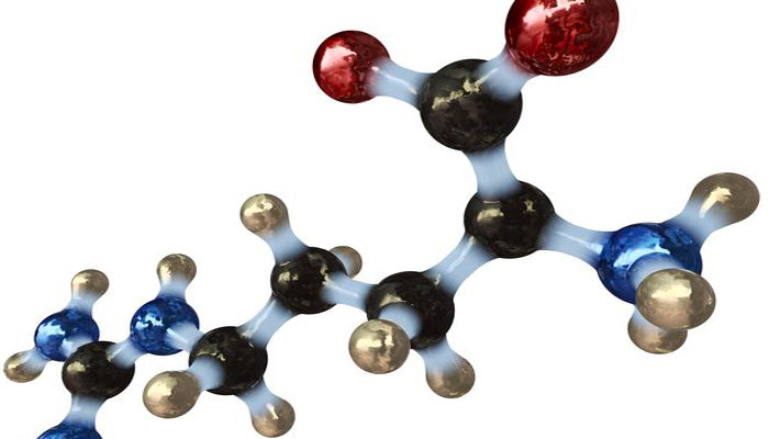 The Benefits of Amino Acids