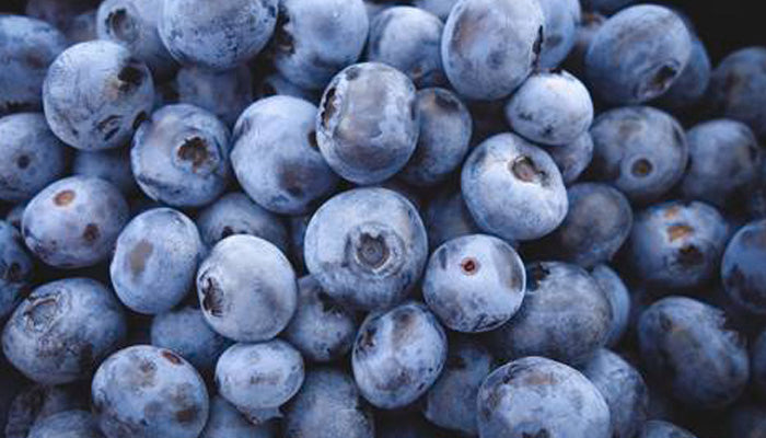 The Benefits of Blueberries