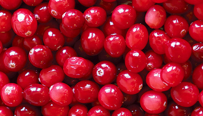 The Benefits of Cranberries