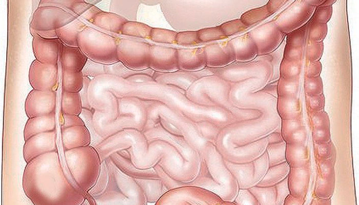 The Benefits of Digestive Enzyme Supplements